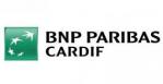 Logo bnp